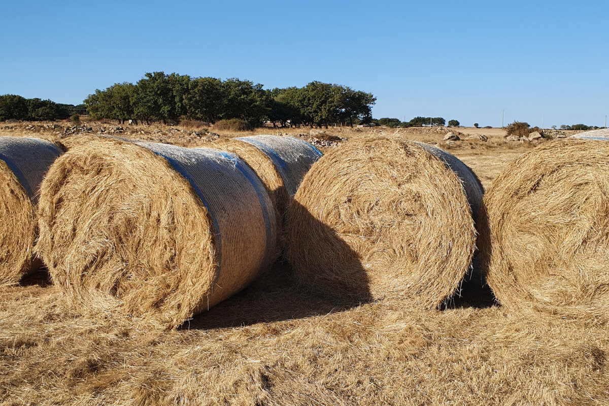 È arrivato l’Autunno: cosa succede in azienda?