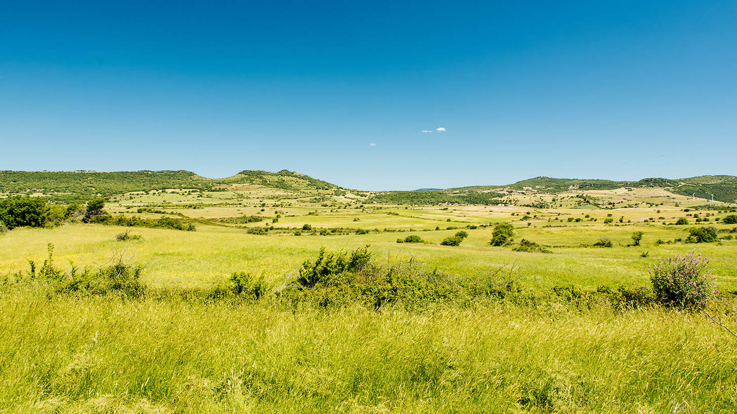 Biancospino Agricola - Campagna