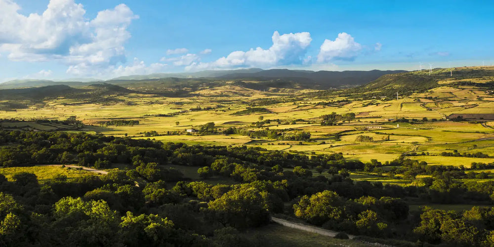 Biancospino Agricola - Panorama del territorio Sarcidano