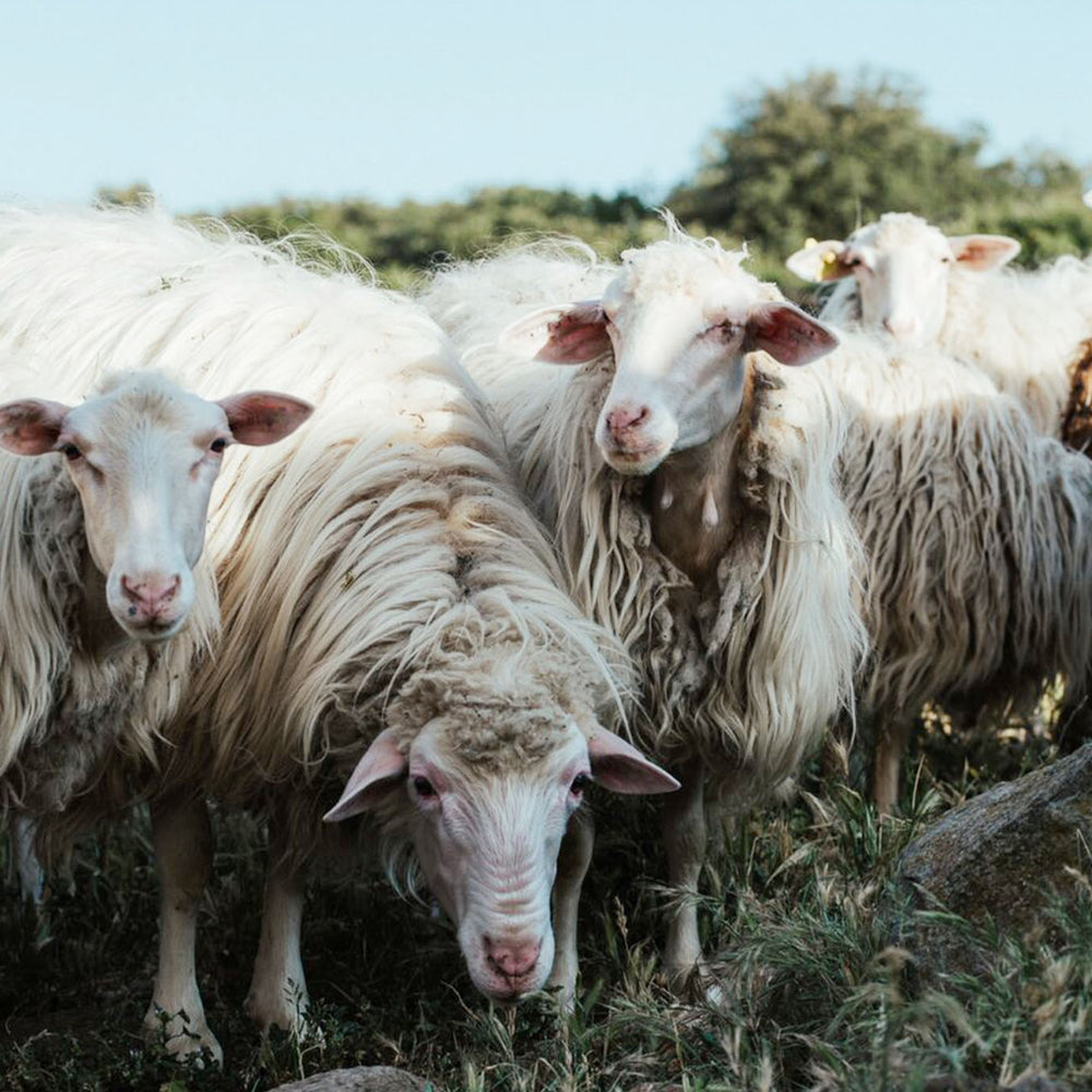 Biancospino Agricola - Sostenibilità