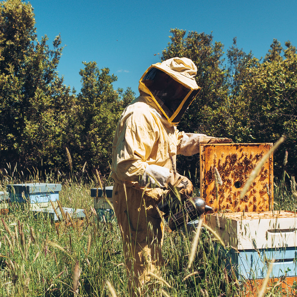 Biancospino Agricola - Vita in azienda