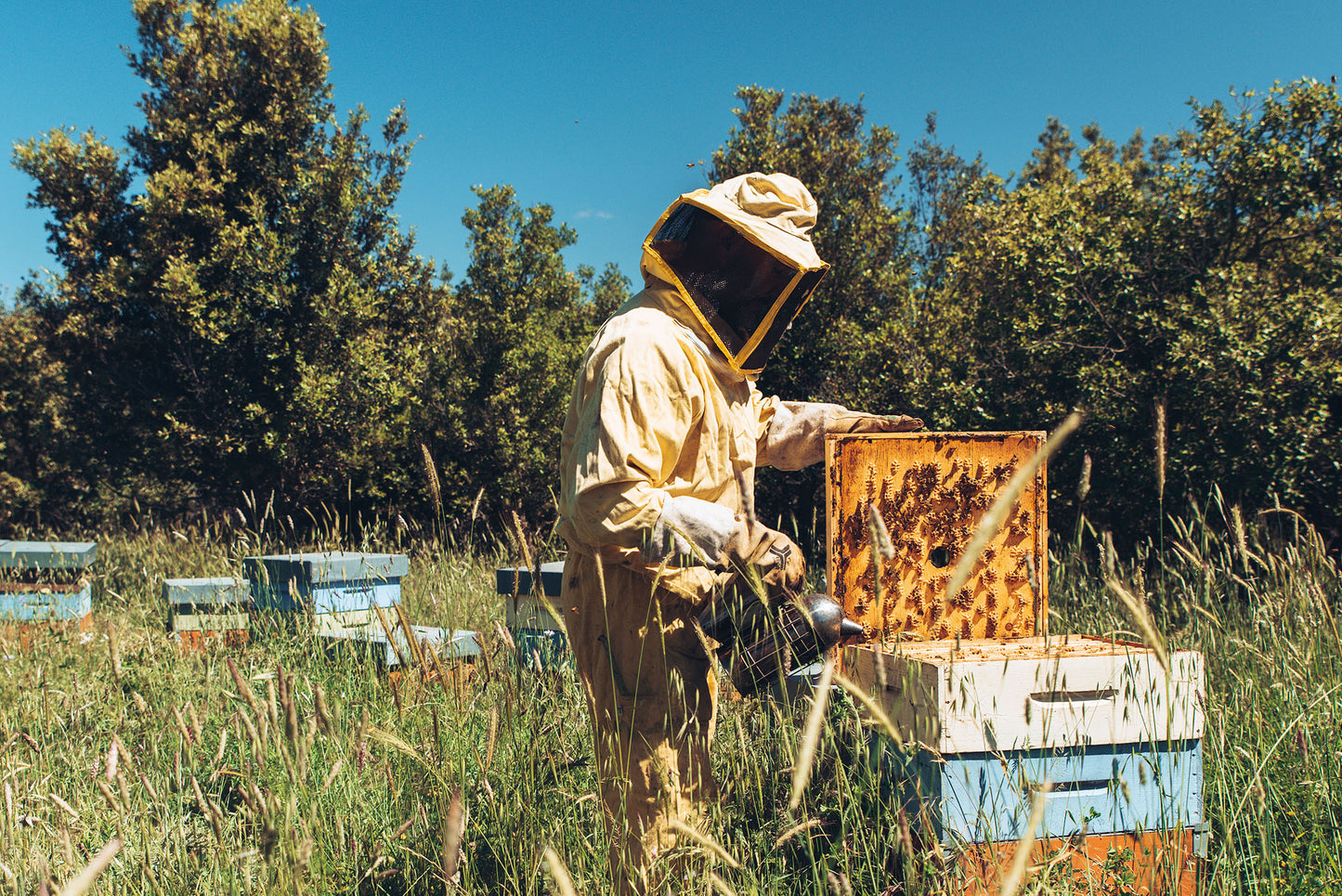 Biancospino Agricola - Vita in azienda